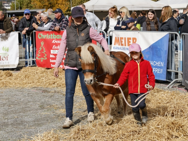 Prämienmarkt 2024